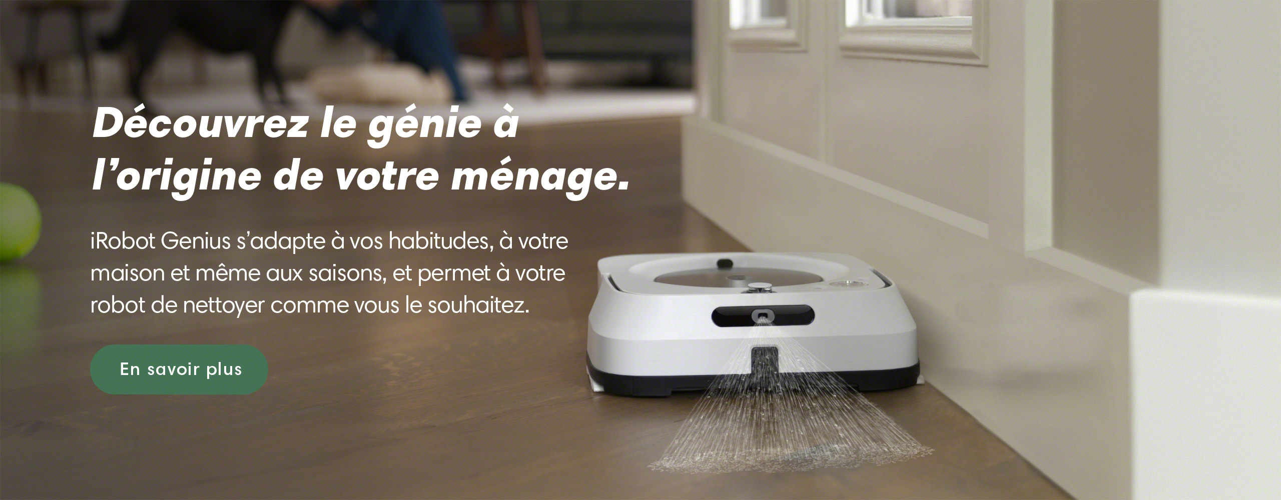 iRobot Roomba 