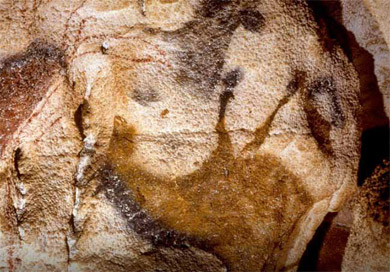 Risultati immagini per camera oscura grotta di lascaux