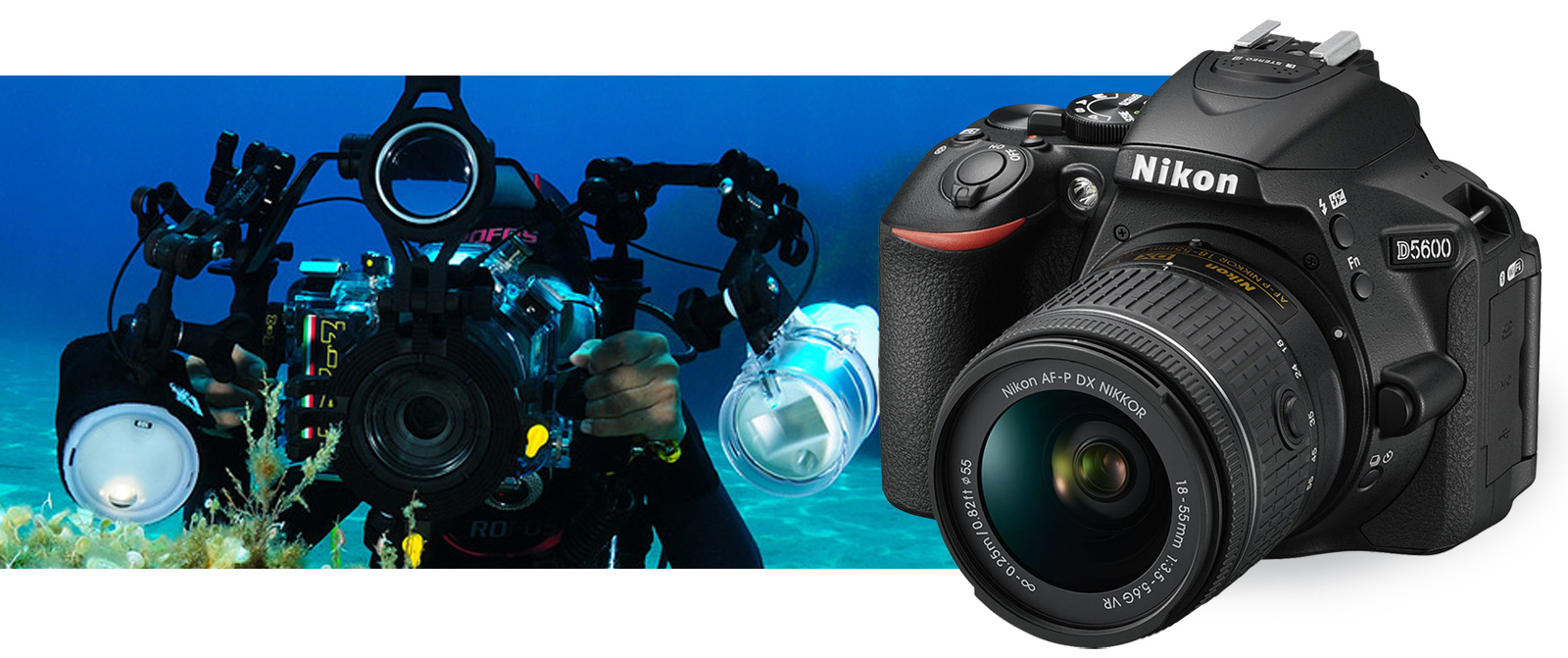 Nikon D5600 e la fotografia subacquea: la reflex compatta da portare  sott'acqua