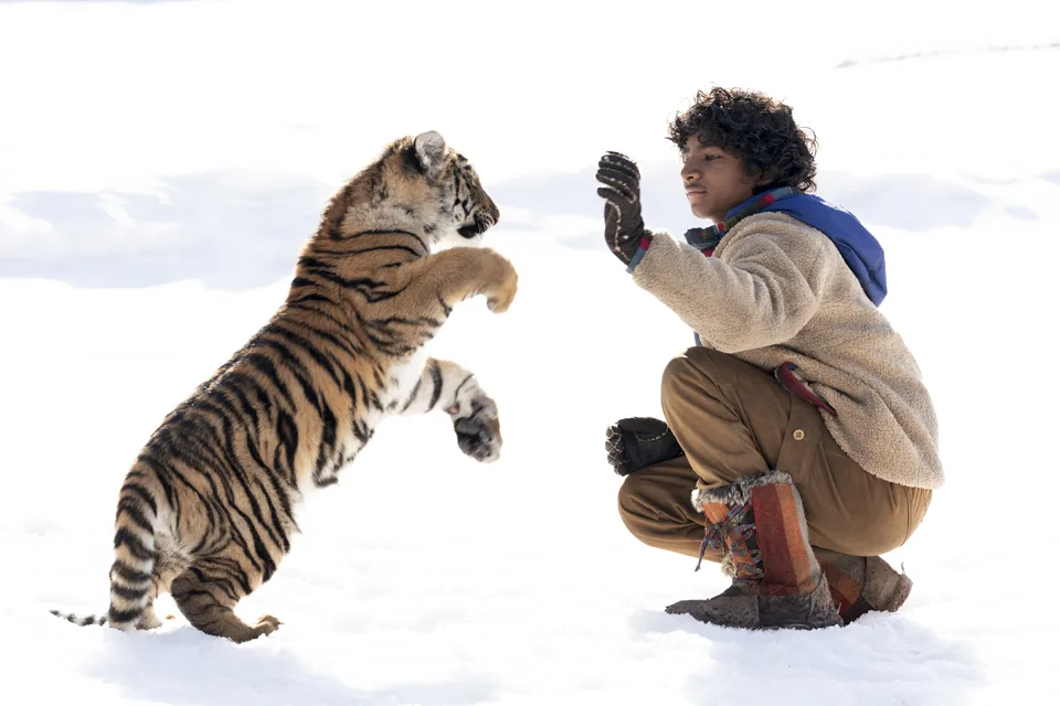 L’attore Sunny Pawar e il cucciolo di Tigre