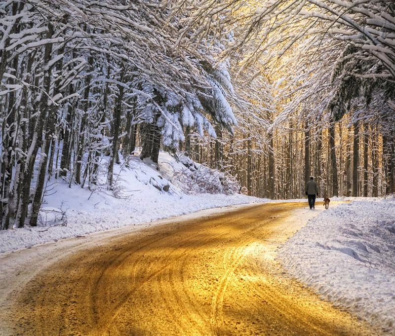 Golden roads. Золотой снег. Зима золото. Золотистый снег. Солнце золото зима.