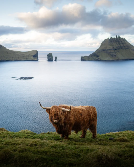 Isole Faroe - Foto: Samuele Cavicchi