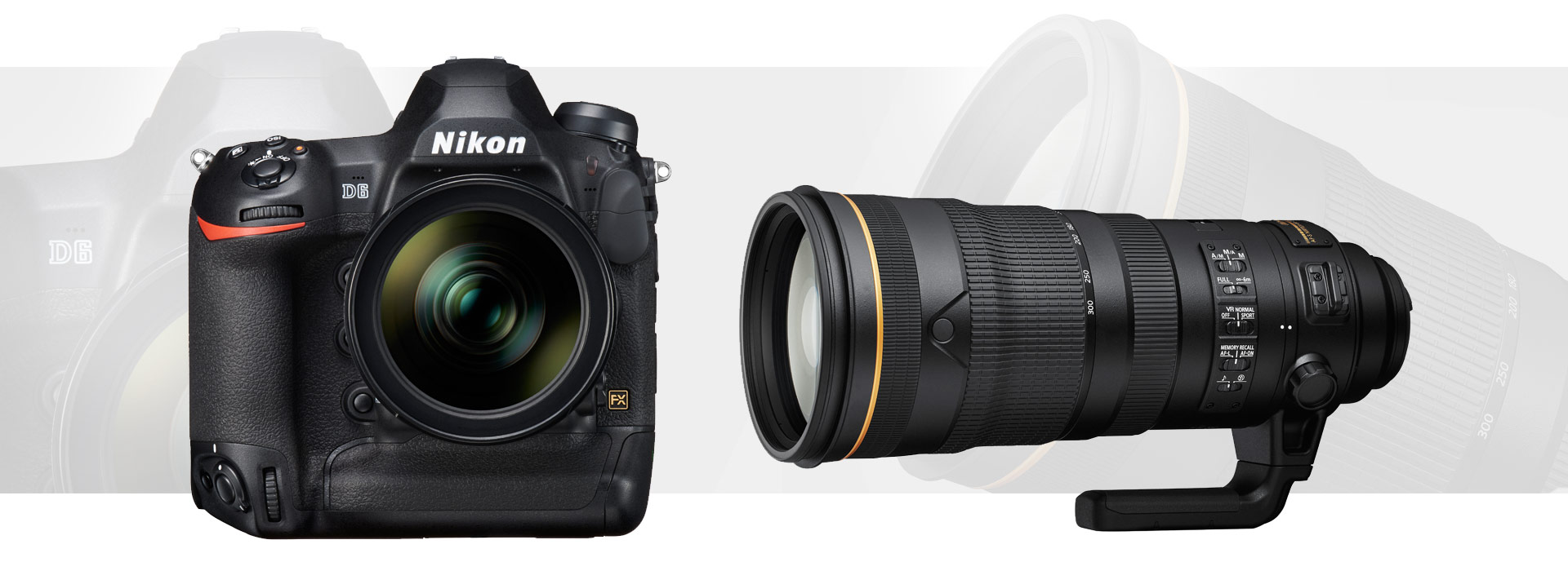 Nikon D6 e AF-S NIKKOR 120-300mm f/2.8E FL ED SR VR