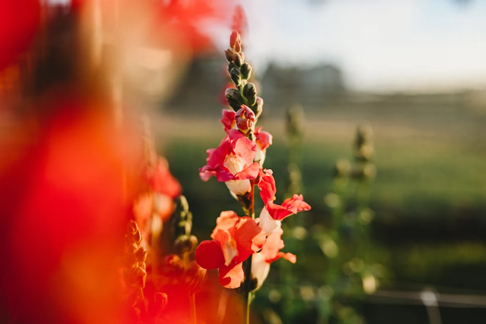 Foto realizzata con NIKKOR Z 35mm f/1.4 © Chloe Lodge