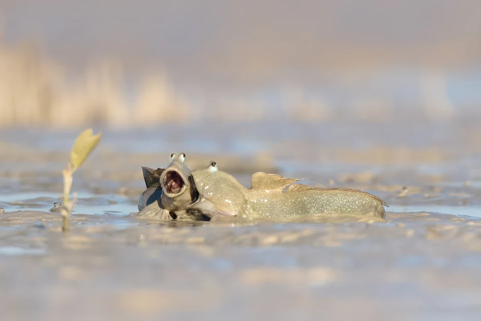 Foto di Emma Parker