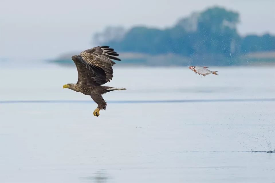 Foto di Przemyslaw Jakubczyk